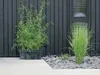 Květináč Cube beton effect antracit 20 cm Náhled obrázku produktu 6