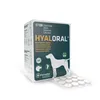 A product box for dog supplements with blister packs of tablets in front. Podgląd zdjęcia produktu