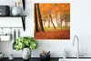 MuchoWow® Poster Blätter - Herbst - Wald 50x50 cm - Produktbild-Vorschau 3