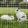 1m x 10m Silber Volierendraht Maschendrahtzaun Maschendraht Produktbild-Vorschau 7