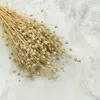 Flachs Getrocknete - (Leinen) - Gebleicht Produktbild-Vorschau 7