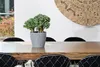A potted plant sits on a wooden dining table in front of a window. Produktbild-Vorschau