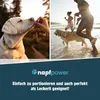 Gelenktabletten für Hunde 125 Stk - Grünlippmuschel, Produktbild-Vorschau 7