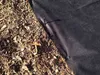 Plastové kolíky 12cm - upevňovací kotva/100ks Náhled obrázku produktu 2