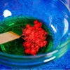 Lisciani Crazy Science Slime Kameleon 304-PL89246 Anteprima dell’immagine prodotto 3