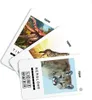 100 PICS 20208045 Quizspiel Tiere, Lernspiel für die ganze Produktbild-Vorschau 9