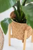 NEST Portafiori universale - Portafiori regolabile in bambù Anteprima dell’immagine prodotto 7