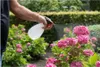 Sprühflasche Gartenspritze 1 Liter - Desinfektionssprüher - Produktbild-Vorschau 3