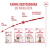 Royal Canin Kitten, Kocięta, Drób, 4 kg Podgląd zdjęcia produktu 21