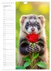 Ich hab an dich gedacht - Ein Geburtstagskalender voller Produktbild-Vorschau 11