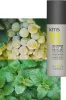 KMS Hairplay tvarovacia pasta 150ml Náhľad obrázku produktu 3