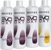 Selective Colorevo Entwickler 1000ml, Peroxid:6 % Produktbild-Vorschau 2