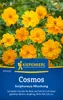 Artikelbild 2 von 'Cosmos Sulphureus Mischung' aus der Kategorie Cosmeasamen Produktbild-Vorschau