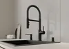 Blanco Catris S - Küchenarmatur Wasserhahn mit Produktbild-Vorschau 4