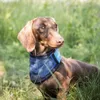 Back on Track Cooling Bandana Produktbild-Vorschau 10