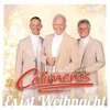 Calimeros: Es ist Weihnacht Náhľad obrázku produktu 2