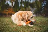 Ruffwear Gnawt-a-Stick Spielzeug Stock 4 x 30 cm, Produktbild-Vorschau 4