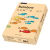 PAPYRUS Multifunktionspapier Rainbow A4 80 g/qm lachs Produktbild-Vorschau 2