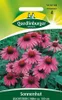 Quedlinburger Saatgut - Sonnenhut Leuchtstern - Samen - Produktbild-Vorschau 1