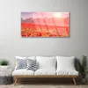 Acrylglasbilder 100x50 Wandbild Druck Wiese Blumen Natur Produktbild-Vorschau 3
