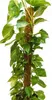 Support de Plante en Coco - 40 cm - Décoratif et Durable - Voir les images du produit 6
