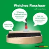 Novaliv Großer Besen Saalbesen 60 cm mit Stiel Borsten Produktbild-Vorschau 4