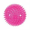 Zolux Pop Tpr Stekelbal Turquoise Produktbild-Vorschau 5