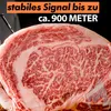 Typhur Grillthermometer Sync Gold Quad SUB 1-GHZ 4 Probes Produktbild-Vorschau 2