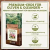 Green Home Olivenbaum- & Oleandererde 72 L – für Produktbild-Vorschau 2