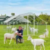 Izrielar Hühnerstall Hühnerhaus 3x8x2m Kleintierstall Produktbild-Vorschau 9