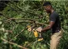 Dewalt DCMPS520P1-QW Akku-Astsäge 5,0Ah Produktbild-Vorschau 11