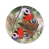 MuchoWow® Mauspad Mousepad Tagpfauenauge Schmetterling Produktbild-Vorschau 1