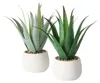 Künstliche Aloe-Pflanze im Blumentopf MONDRAGO, 29 cm Produktbild-Vorschau 5