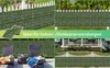 Jopassy 1*3M Sichtschutzhecke Windschutz Efeu Sichtschutz Produktbild-Vorschau 6