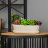 A planter with artificial succulents sits on a round wooden table with a black metal base. Produktbild-Vorschau