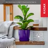 Vaso da fiori in plastica KADAX "Agen", vaso con sottovaso. Anteprima dell’immagine prodotto 7
