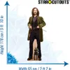 Harry Potter Pappaufsteller (Stand Up) - Sirius Black (178 Produktbild-Vorschau 3