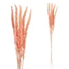 24x Pampasgras 4 Farben Dekogras H65-75 cm Trockenblume Produktbild-Vorschau 6