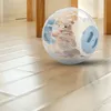 Relaxdays Palla per criceti, Ø 18,5 cm, palla da corsa per Anteprima dell’immagine prodotto 2