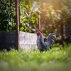 KADAX Gallo, statua da giardino 37 cm, grande statua da Anteprima dell’immagine prodotto 2