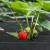 XINZI Gartenvlies Unkrautvlies, Unkrautfolie Mulchfolie Produktbild-Vorschau 9