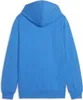 Puma Herren teamGOAL Casuals Hoodie - 658618, Farbe:Blau, Produktbild-Vorschau 4