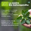 AshwagandhaKSM-66® 3600mg alto dosaggio per il Benessere Anteprima dell’immagine prodotto 3