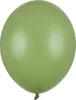 10 Stk. Luftballon Ø30cm "Uni Pastell" | Rosemarin Grün Produktbild-Vorschau 1