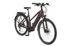 Prophete Entdecker 5.9 Damen Trekking E-Bike 28" Limited– Produktbild-Vorschau 1