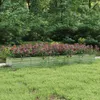 A raised garden bed filled with flowers in a grassy yard with trees in the background. Voir les images du produit
