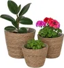 Blumentopf, 3er Set, Schilf, Pflanzentöpfe mit Folie, Produktbild-Vorschau 1