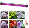 Lampe LED pour plantes, 96 LED, 50 cm, lampe à spectre Voir les images du produit 1