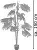 Palmier Tallipot Rônier Plante Arbre Artificielle Voir les images du produit 6