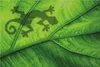 Wallario Poster - Gecko Schatten auf grünem Blatt - Umriss, Produktbild-Vorschau 1